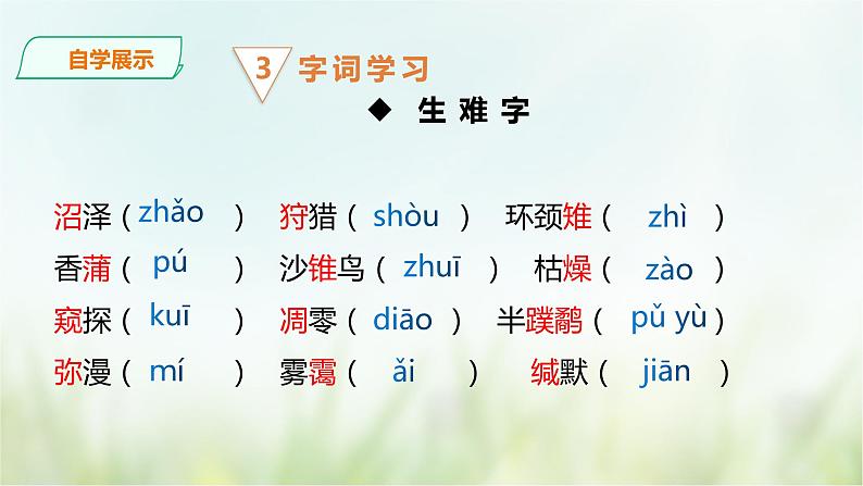 7《大雁归来》课件(共35张PPT)+教案+素材08