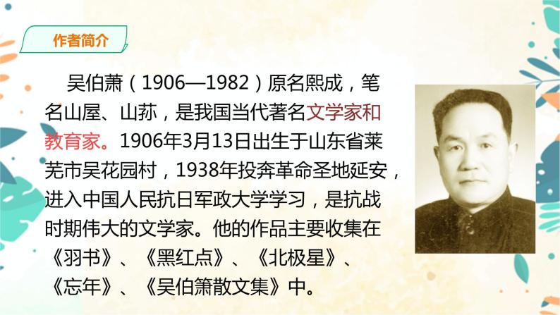 语文八年级下册4*灯笼完整版课件ppt