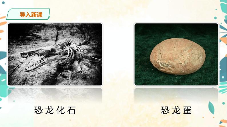 6 阿西莫夫短文两篇：《被压扁的沙子》课件(共34张PPT)+教案+课后习题答案+素材05