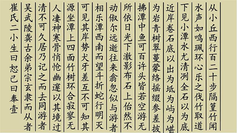 2020—2021学年部编版语文八年级下册第10课《小石潭记》课件（共22张PPT）05