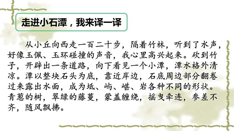 2020—2021学年部编版语文八年级下册第10课《小石潭记》课件（共22张PPT）07