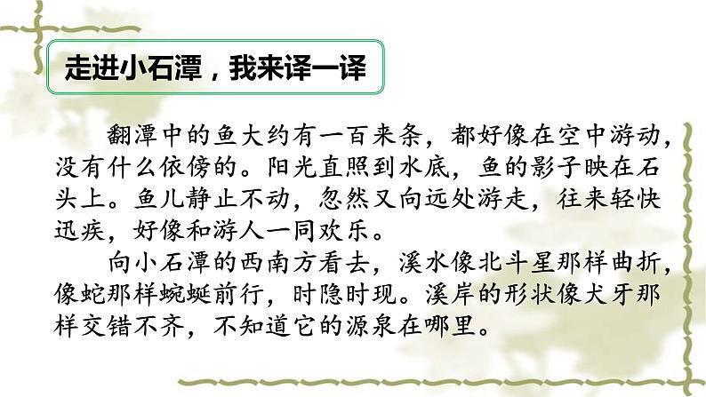 2020—2021学年部编版语文八年级下册第10课《小石潭记》课件（共22张PPT）08