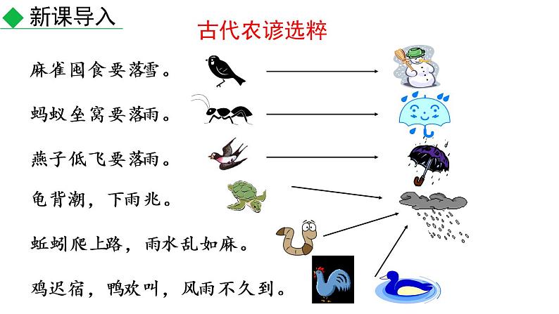 5.大自然的语言 课件——2021春季部编版语文八年级下册课件第1页