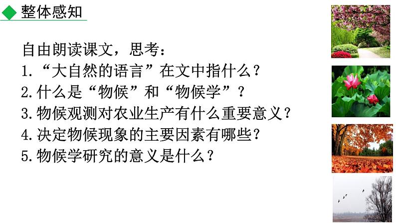 5.大自然的语言 课件——2021春季部编版语文八年级下册课件第7页