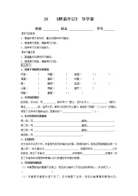 初中语文人教部编版九年级上册第三单元11 醉翁亭记学案