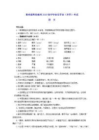 084—2019年贵州省黔东南州中考语文试题（word版，含答案）