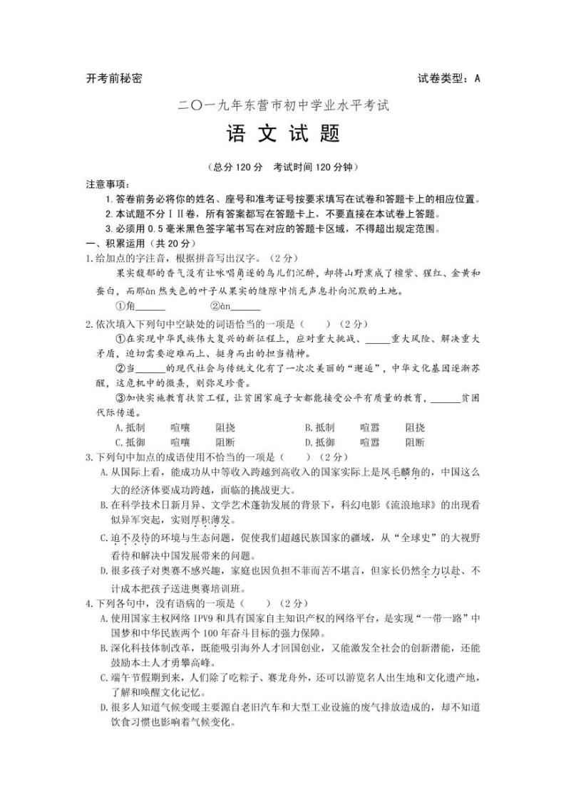 090—2019年山东省东营市中考语文试题（PDF版，含答案）01