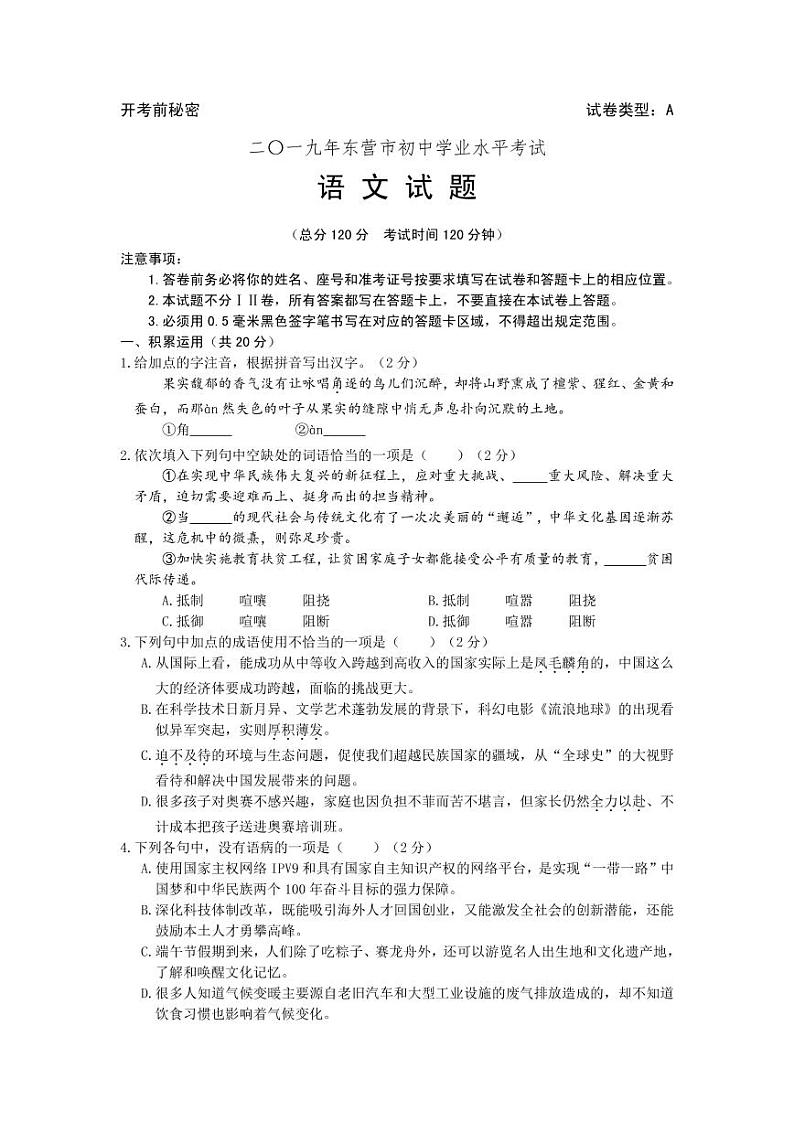 090—2019年山东省东营市中考语文试题（PDF版，含答案）第1页