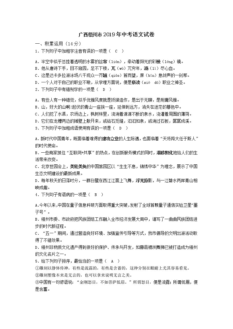 100—2019年广西梧州市中考语文试题（word版，含答案）01