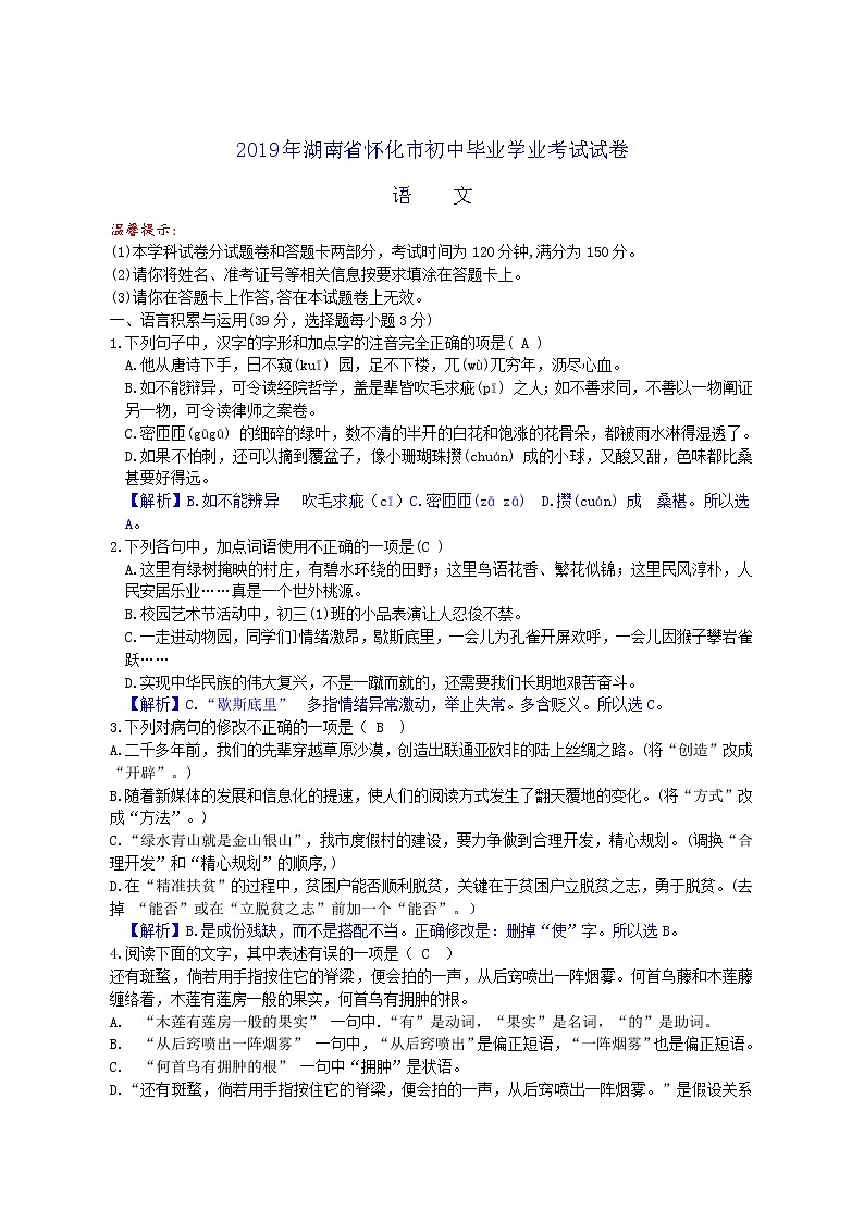 097—2019年湖南省怀化市中考语文试题（ word版，含解析）01