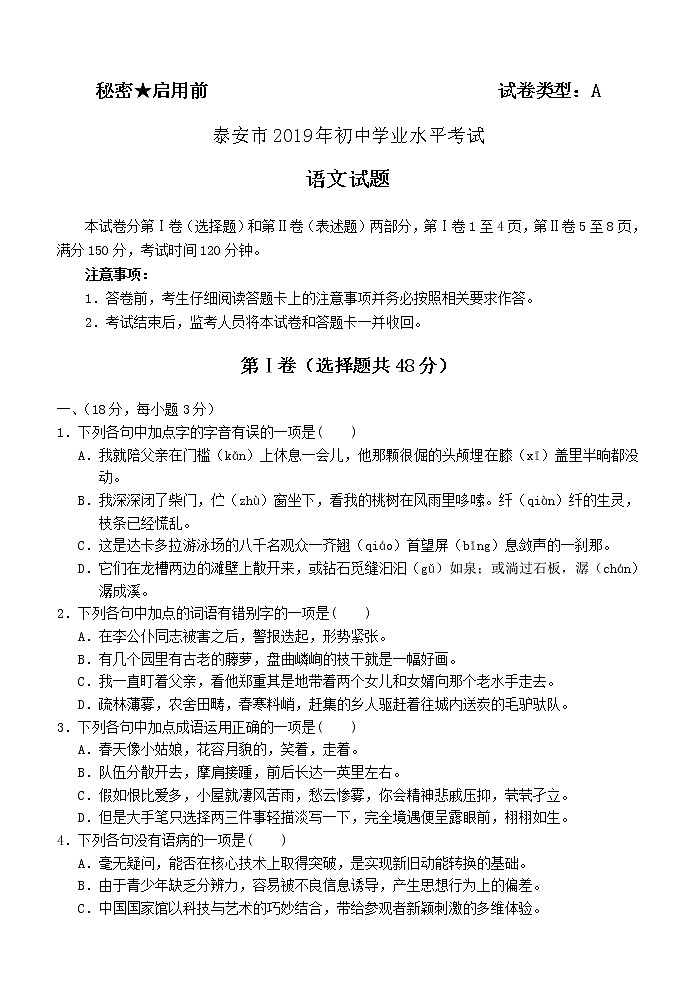 010—2019年山东省泰安市中考语文试题及答案（A卷  word版）01