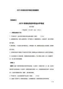 020—2019年山东省青岛市初中学业水平考试语文试题及答案（扫描版，解析版）