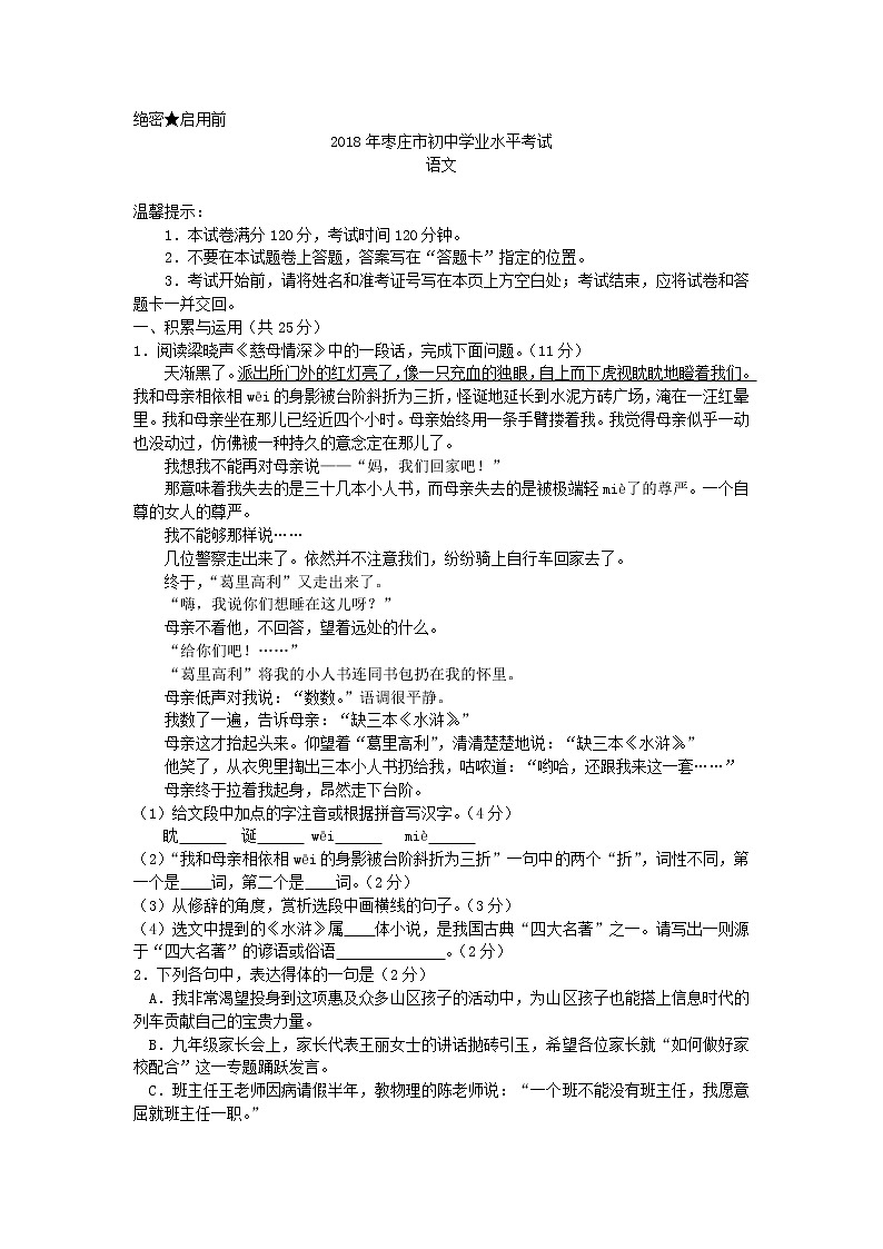 034.2018年山东省枣庄市初中学业水平考试语文试题01