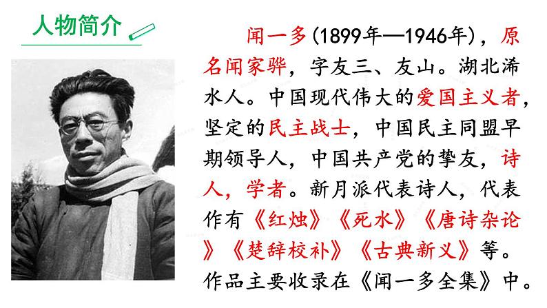 13《最后一次讲演》课件-2020-2021学年八年级语文下册部编版第3页