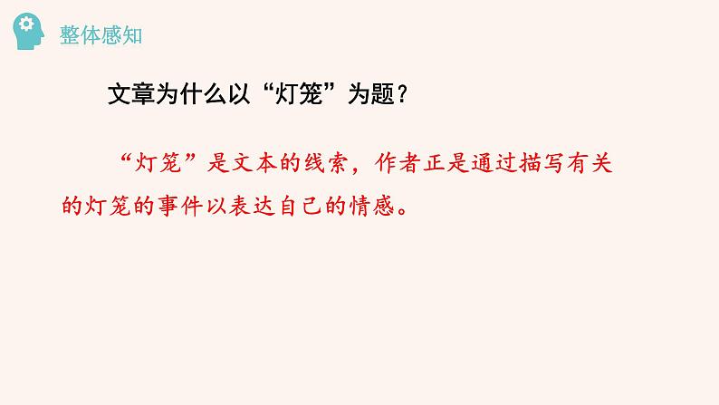 八年级语文下册（统编）第一单元 4 灯笼 课件07