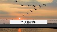 人教部编版八年级下册第二单元7*大雁归来课前预习课件ppt