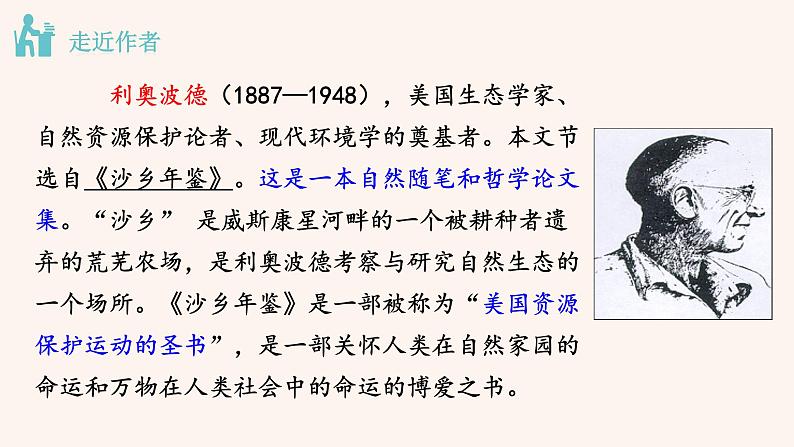 八年级语文下册（统编）第二单元 7 大雁归来课件第5页