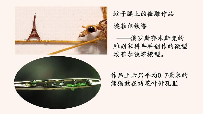 八年级语文下册（统编）第三单元 11 核舟记第6页