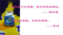 初中语文人教部编版七年级下册爱莲说多媒体教学ppt课件