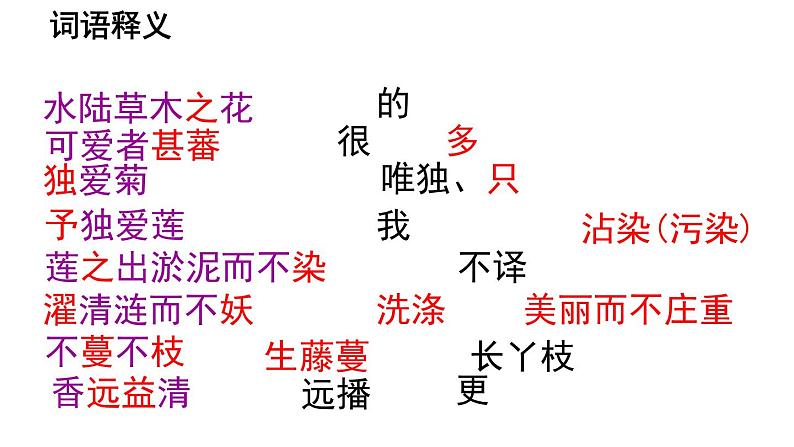 人教部编版七年级下册16《短文两篇》之《爱莲说》课件(共22张PPT)第7页