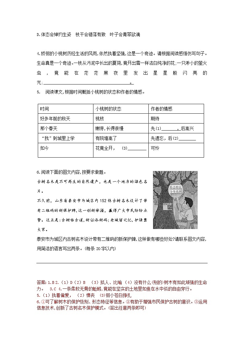 2020-2021学年部编版语文七年级下册19《一棵小桃树》第2页