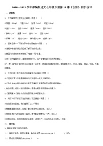 初中语文人教部编版七年级下册12 *台阶习题