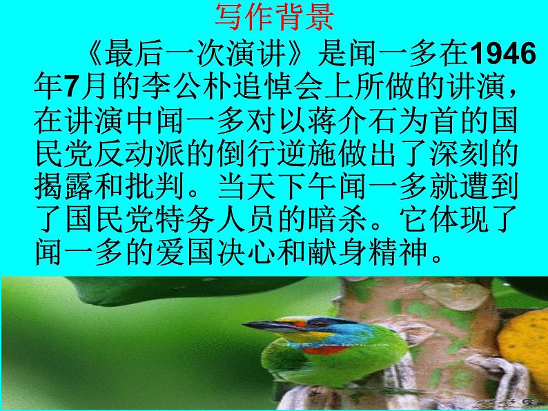 13、《最后一次讲演》课件第4页