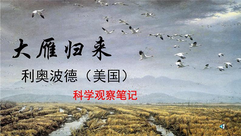 7《大雁归来》课件07