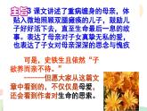 七年级第五课《秋天的怀念》7.30 课件