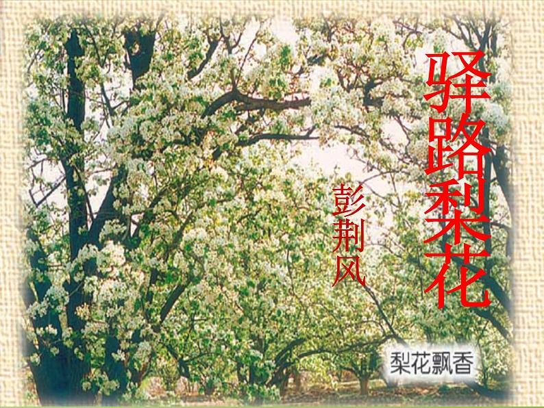 15驿路梨花课件第2页