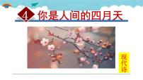 初中人教部编版4 你是人间的四月天评课课件ppt
