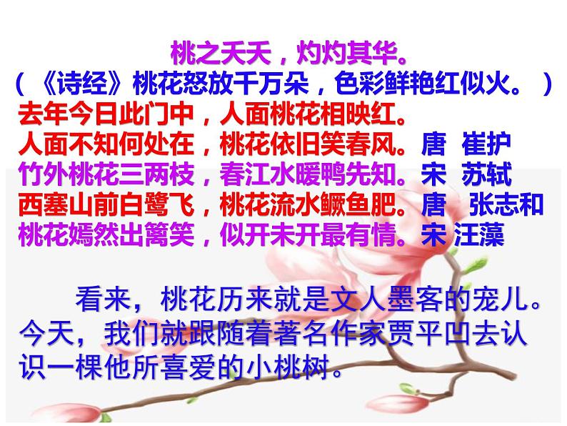 一棵小桃树（课件+朗读）02