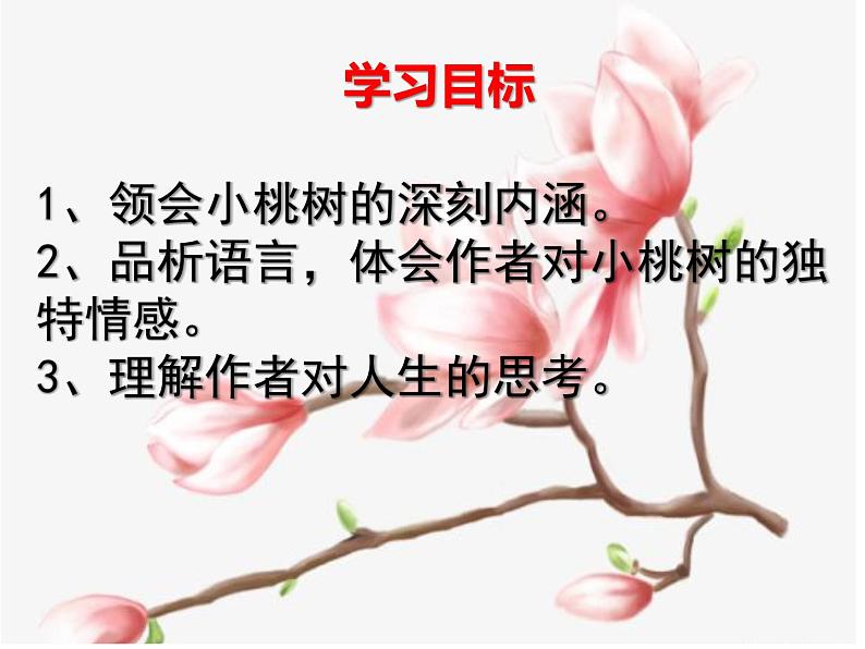 一棵小桃树（课件+朗读）05