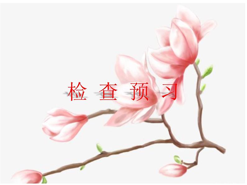 一棵小桃树（课件+朗读）06