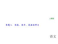2018年中考语文（人教版，通用版）总复习课件：专题八　图表、图片、漫画的研习(共32张PPT)
