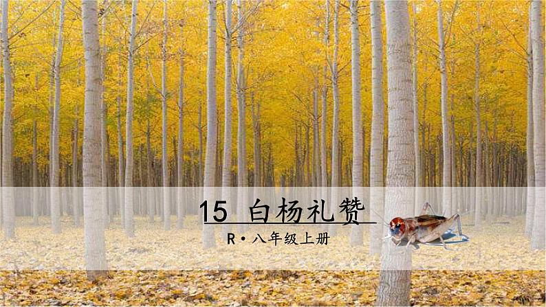 部编版八年级语文上册15白杨礼赞 精品课件第1页