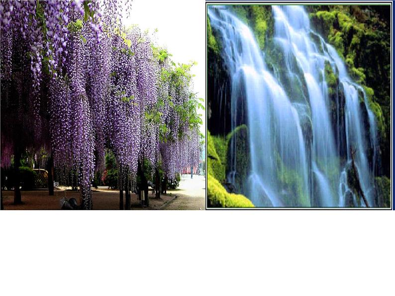 部编版语文七年级下册第18课《紫藤萝瀑布》课件（共22张PPT）第1页