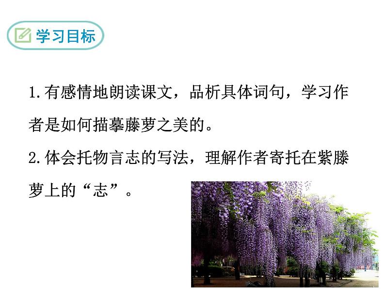 部编版语文七年级下册第18课《紫藤萝瀑布》课件（共22张PPT）第3页