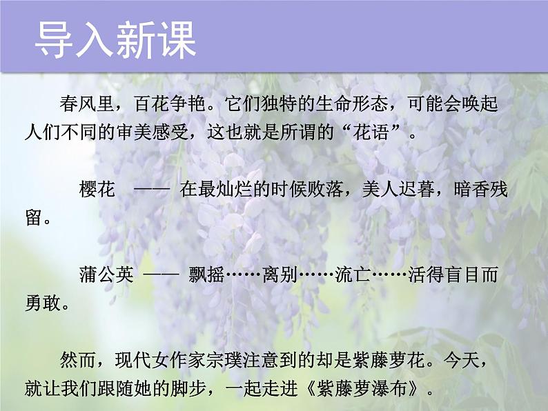 部编版语文七年级下册第18课《紫藤萝瀑布》课件（共24张PPT）第4页