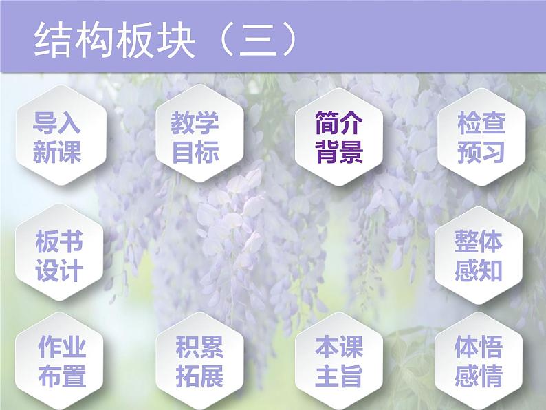 部编版语文七年级下册第18课《紫藤萝瀑布》课件（共24张PPT）第7页