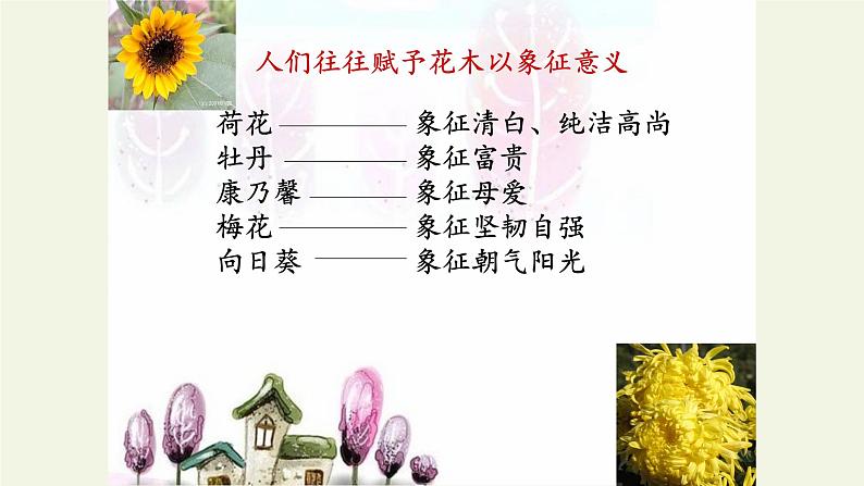 部编版语文七年级下册18.《紫藤萝瀑布》课件（38张PPT）06
