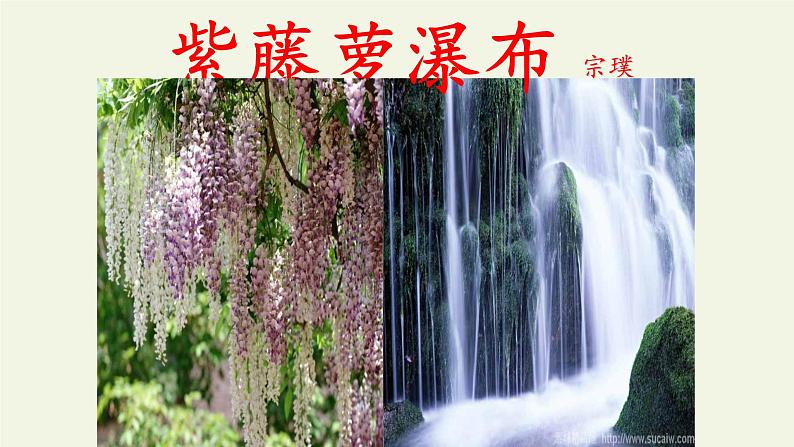 部编版语文七年级下册18.《紫藤萝瀑布》课件（38张PPT）07