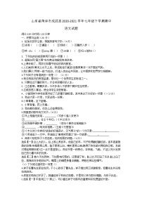 山东省菏泽市成武县2020-2021学年七年级下学期期中考试语文试题（word版 含答案）