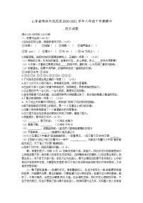 山东省菏泽市成武县2020-2021学年八年级下学期期中语文试题（word版 含答案）