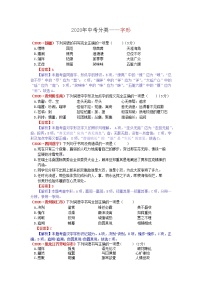 2020年全国各地中考语文试题分类汇编解析——字形（含解析）