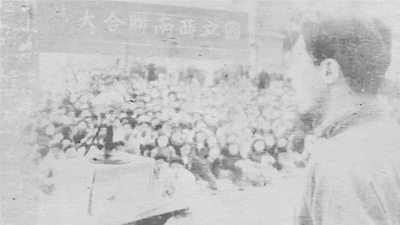 2020－2021学年部编版语文八年级下册第13课《最后一次讲演》课件（共37张PPT）05