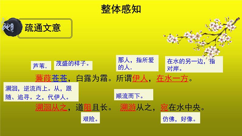 部编版语文八年级下册12《蒹葭》课件（22张PPT）05