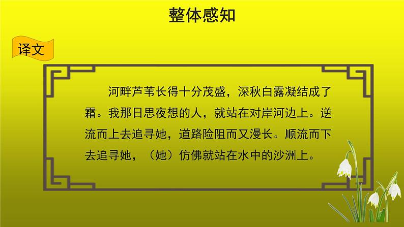 部编版语文八年级下册12《蒹葭》课件（22张PPT）06