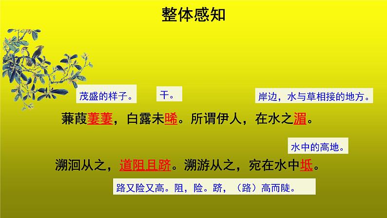 部编版语文八年级下册12《蒹葭》课件（22张PPT）07