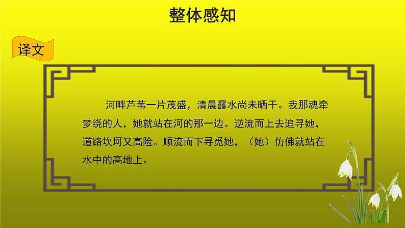 部编版语文八年级下册12《蒹葭》课件（22张PPT）08